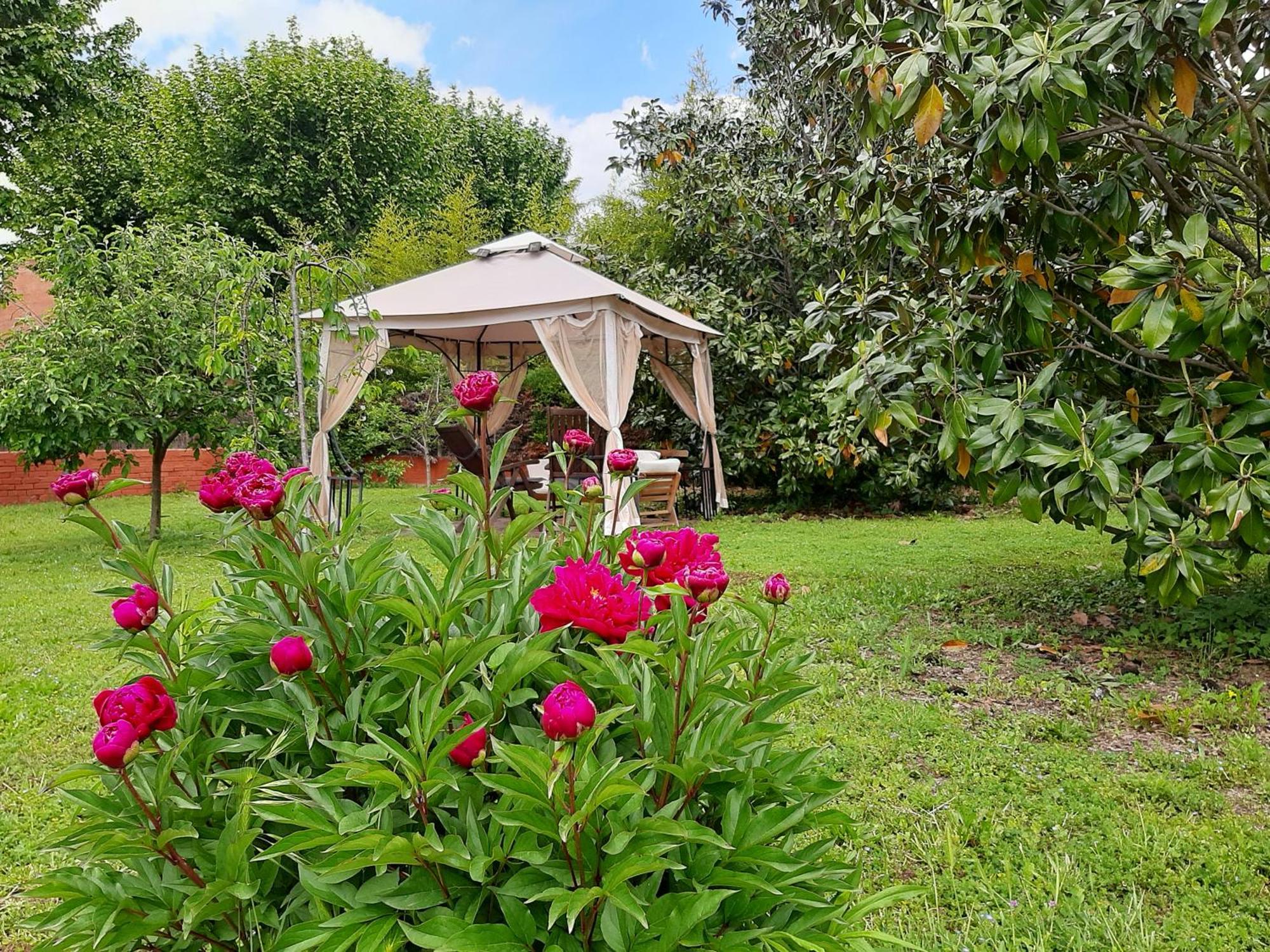 Apartamento Con Encanto L'Estany 2 Banyoles Exterior foto